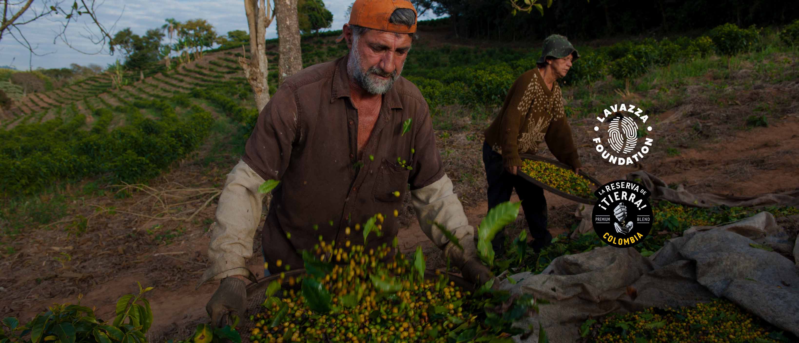 La Reserva de ¡Tierra! Colombia Espresso - Barista Coffee | Lavazza