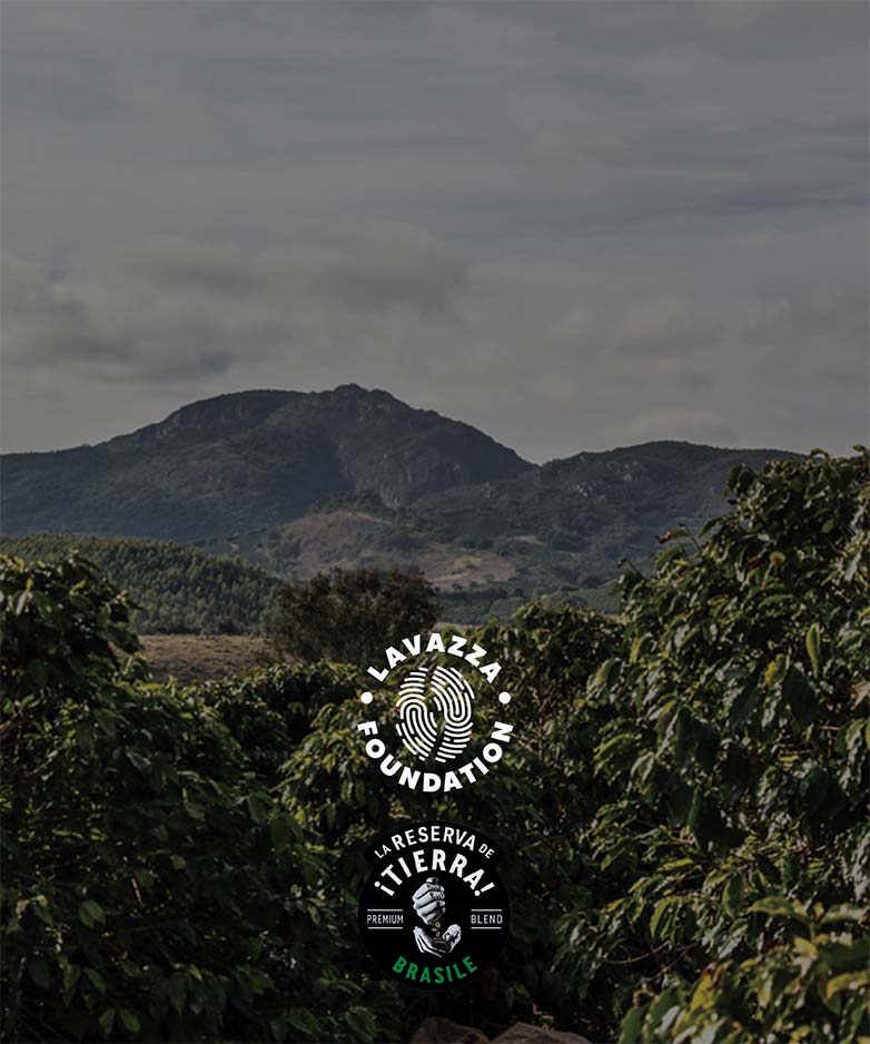 La Reserva de ¡Tierra! Brasile - Barista Coffee