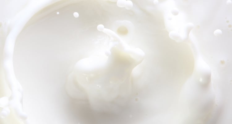 Lavazza lait Up moussant Blanc 
