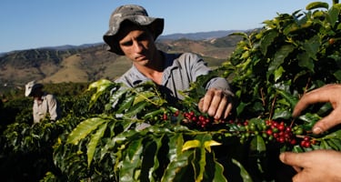 tierra-selection-banner-m