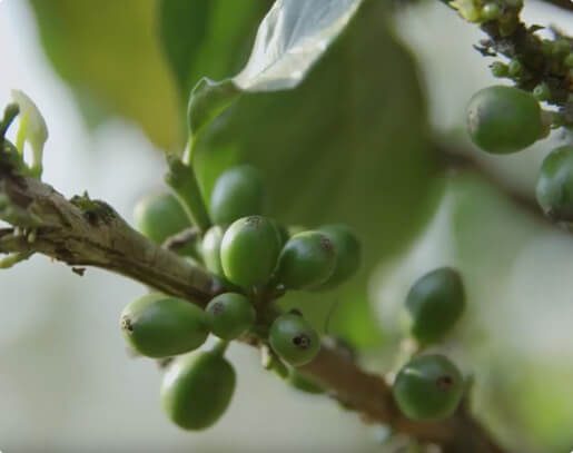 Lavazza-Magazine-CoffeeCulture-40hands-img-dx.