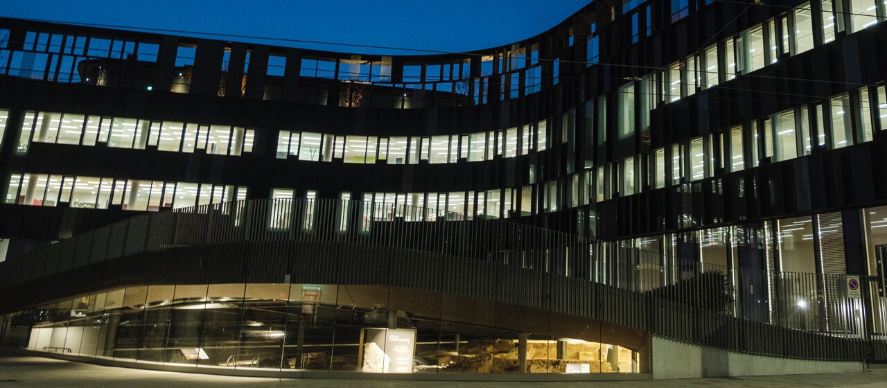 <p>Archaeological Area</p>

