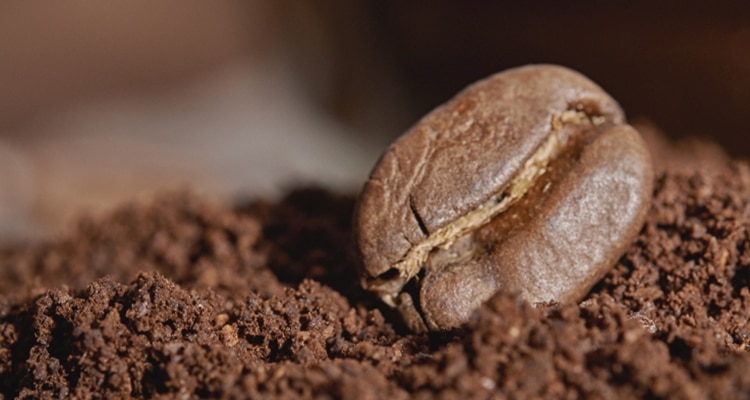 lavazza-capsule-compatibili-delicato-materia-prima-m