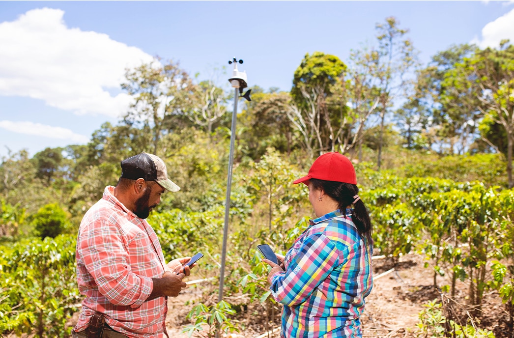 transformative technologies for coffee cultivation