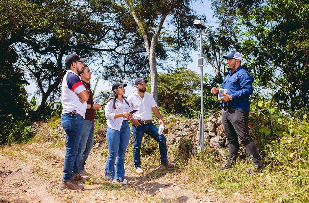 coffee cultivation